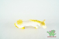 Preview: Schleich Bayala Sonnenfohlen Sunna 82872